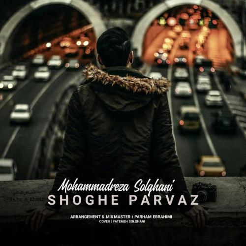 دانلود آهنگ شوق پرواز دانلود آهنگ شوق پرواز